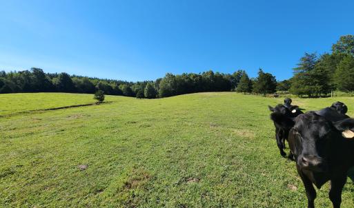 Photo #36 of SOLD property in 4465 Harmony Road, Long Island, VA 135.5 acres