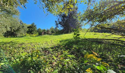 Photo #41 of SOLD property in 4465 Harmony Road, Long Island, VA 135.5 acres