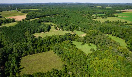 Photo #6 of SOLD property in 4465 Harmony Road, Long Island, VA 135.5 acres