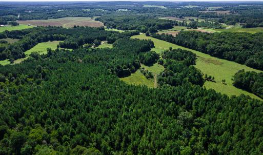 Photo #10 of SOLD property in 4465 Harmony Road, Long Island, VA 135.5 acres