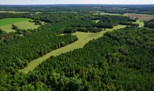 Photo #11 of SOLD property in 4465 Harmony Road, Long Island, VA 135.5 acres