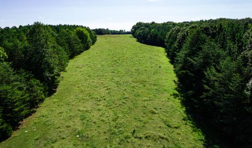 Photo #16 of SOLD property in 4465 Harmony Road, Long Island, VA 135.5 acres