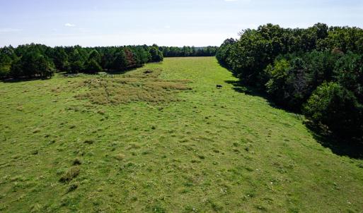 Photo #17 of SOLD property in 4465 Harmony Road, Long Island, VA 135.5 acres