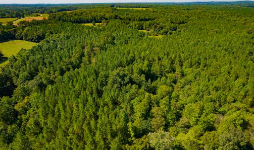 Photo #15 of SOLD property in 4465 Harmony Road, Long Island, VA 135.5 acres