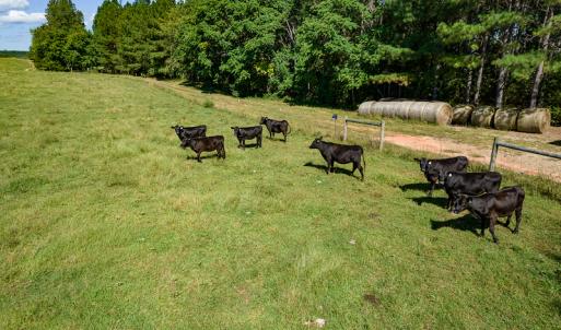 Photo #50 of SOLD property in 4465 Harmony Road, Long Island, VA 135.5 acres