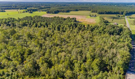 Photo #9 of SOLD property in Off Wallace Highway, Wallace, NC 13.2 acres
