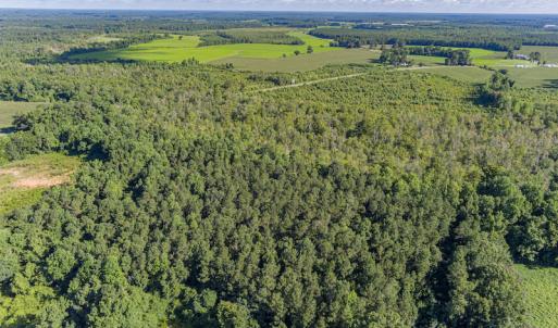 Photo #10 of SOLD property in Off Wallace Highway, Wallace, NC 13.2 acres