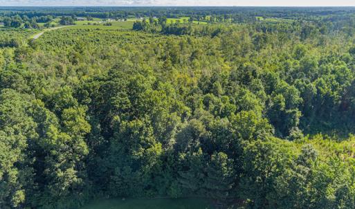 Photo #12 of SOLD property in Off Wallace Highway, Wallace, NC 13.2 acres