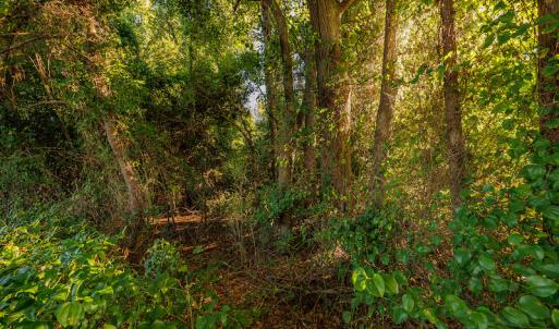 Photo #14 of SOLD property in Off Wallace Highway, Wallace, NC 13.2 acres