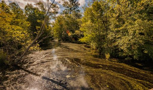 Photo #15 of SOLD property in Off Wallace Highway, Wallace, NC 13.2 acres