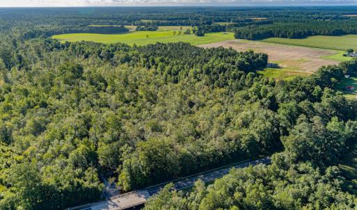 Photo #3 of SOLD property in Off Wallace Highway, Wallace, NC 13.2 acres