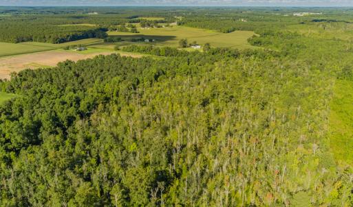 Photo #5 of SOLD property in Off Wallace Highway, Wallace, NC 13.2 acres