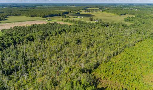 Photo #7 of SOLD property in Off Wallace Highway, Wallace, NC 13.2 acres
