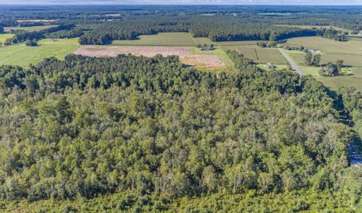 Photo #8 of SOLD property in Off Wallace Highway, Wallace, NC 13.2 acres