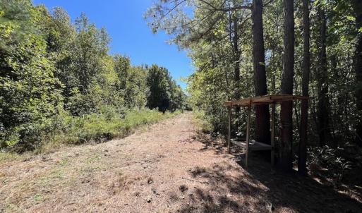 Photo #16 of SOLD property in Off Highway 305, Rich Square, NC 16.4 acres