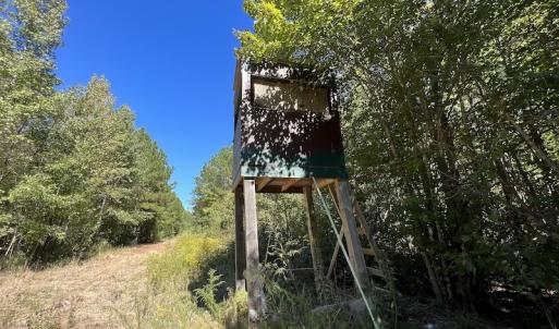 Photo #17 of SOLD property in Off Highway 305, Rich Square, NC 16.4 acres