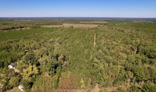 Photo #2 of SOLD property in Off Highway 305, Rich Square, NC 16.4 acres