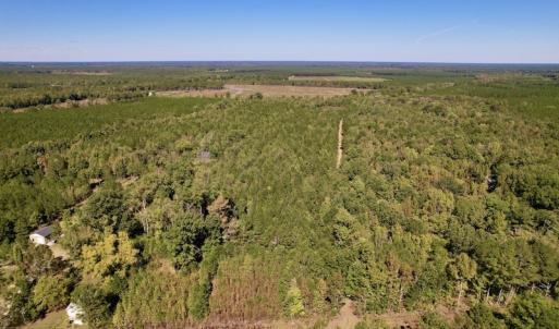 Photo #2 of SOLD property in Off Highway 305, Rich Square, NC 16.4 acres