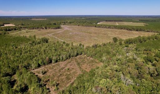 Photo #5 of SOLD property in Off Highway 305, Rich Square, NC 16.4 acres