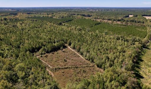 Photo #6 of SOLD property in Off Highway 305, Rich Square, NC 16.4 acres