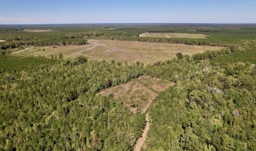 Photo #4 of SOLD property in Off Highway 305, Rich Square, NC 16.4 acres