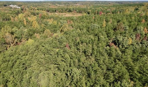 Photo #10 of SOLD property in Off Turkey Track Farms Trail, Nathalie, VA 20.1 acres