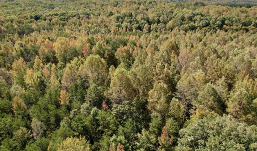 Photo #12 of SOLD property in Off Turkey Track Farms Trail, Nathalie, VA 20.1 acres