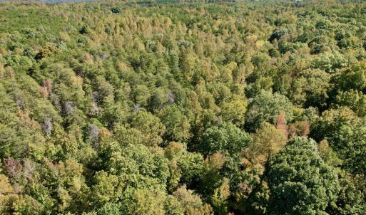 Photo #14 of SOLD property in Off Turkey Track Farms Trail, Nathalie, VA 20.1 acres
