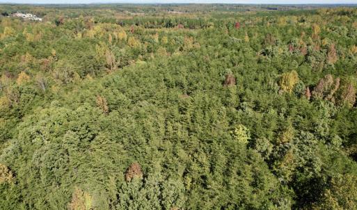 Photo #16 of SOLD property in Off Turkey Track Farms Trail, Nathalie, VA 20.1 acres