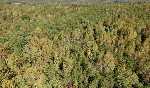 Photo #18 of SOLD property in Off Turkey Track Farms Trail, Nathalie, VA 20.1 acres