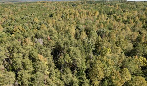 Photo #19 of SOLD property in Off Turkey Track Farms Trail, Nathalie, VA 20.1 acres