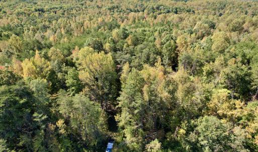Photo #2 of SOLD property in Off Turkey Track Farms Trail, Nathalie, VA 20.1 acres