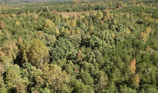 Photo #20 of SOLD property in Off Turkey Track Farms Trail, Nathalie, VA 20.1 acres