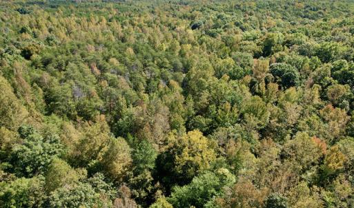 Photo #21 of SOLD property in Off Turkey Track Farms Trail, Nathalie, VA 20.1 acres