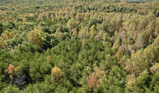 Photo #22 of SOLD property in Off Turkey Track Farms Trail, Nathalie, VA 20.1 acres