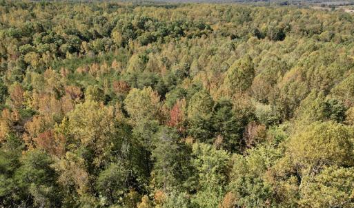 Photo #23 of SOLD property in Off Turkey Track Farms Trail, Nathalie, VA 20.1 acres