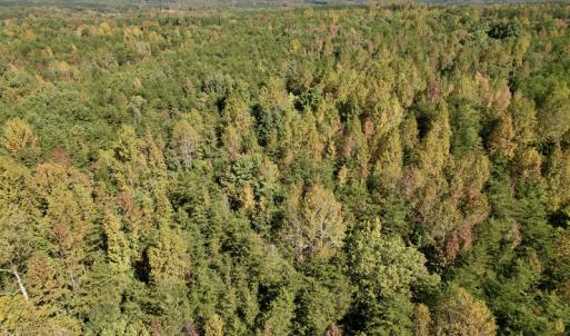 Photo #24 of SOLD property in Off Turkey Track Farms Trail, Nathalie, VA 20.1 acres