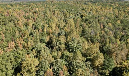 Photo #25 of SOLD property in Off Turkey Track Farms Trail, Nathalie, VA 20.1 acres