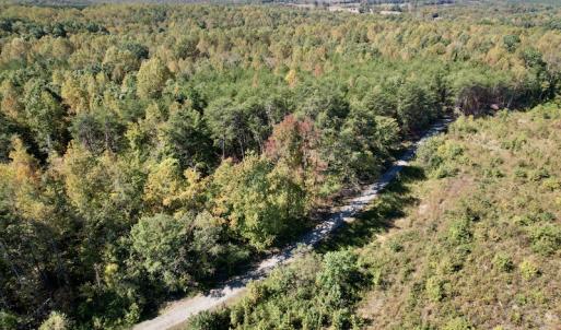 Photo #3 of SOLD property in Off Turkey Track Farms Trail, Nathalie, VA 20.1 acres