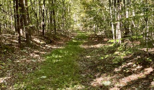 Photo #26 of SOLD property in Off Turkey Track Farms Trail, Nathalie, VA 20.1 acres