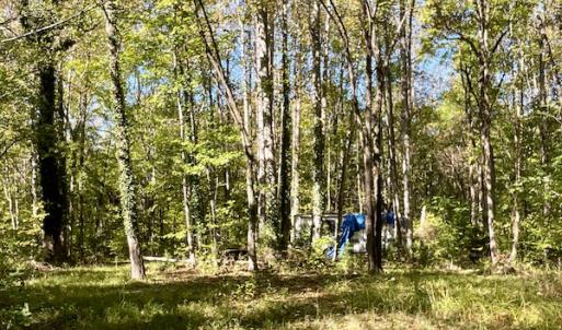 Photo #27 of SOLD property in Off Turkey Track Farms Trail, Nathalie, VA 20.1 acres