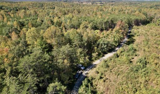 Photo #4 of SOLD property in Off Turkey Track Farms Trail, Nathalie, VA 20.1 acres
