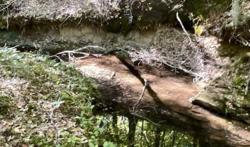 Photo #28 of SOLD property in Off Turkey Track Farms Trail, Nathalie, VA 20.1 acres