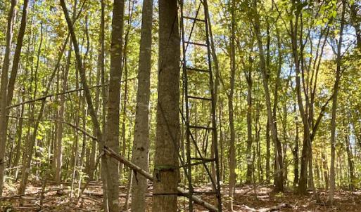 Photo #37 of SOLD property in Off Turkey Track Farms Trail, Nathalie, VA 20.1 acres