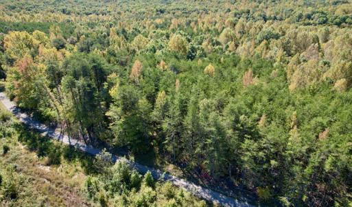 Photo #5 of SOLD property in Off Turkey Track Farms Trail, Nathalie, VA 20.1 acres