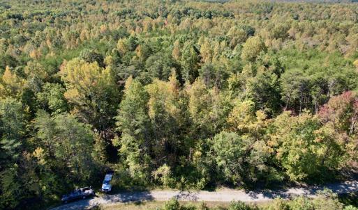 Photo #6 of SOLD property in Off Turkey Track Farms Trail, Nathalie, VA 20.1 acres