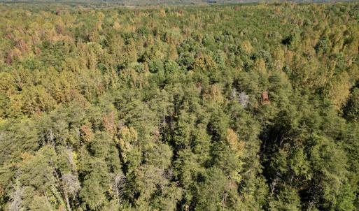 Photo #8 of SOLD property in Off Turkey Track Farms Trail, Nathalie, VA 20.1 acres