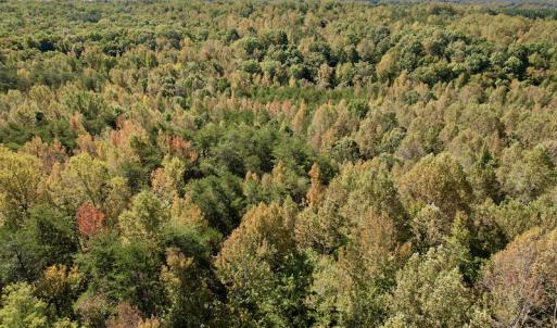 Photo #9 of SOLD property in Off Turkey Track Farms Trail, Nathalie, VA 20.1 acres