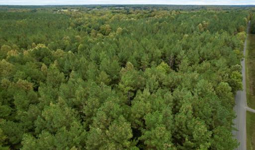 Photo #10 of SOLD property in 627 Sports Lake Road, New Canton, VA 42.6 acres