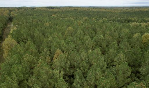 Photo #11 of SOLD property in 627 Sports Lake Road, New Canton, VA 42.6 acres